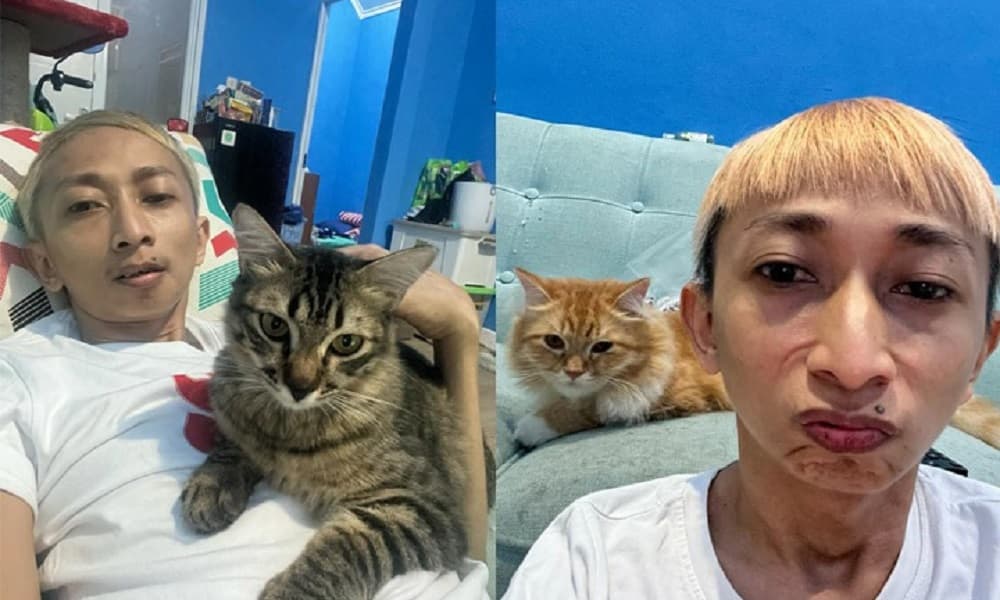 Omo Kucrut Ternyata Seorang Cat Lover