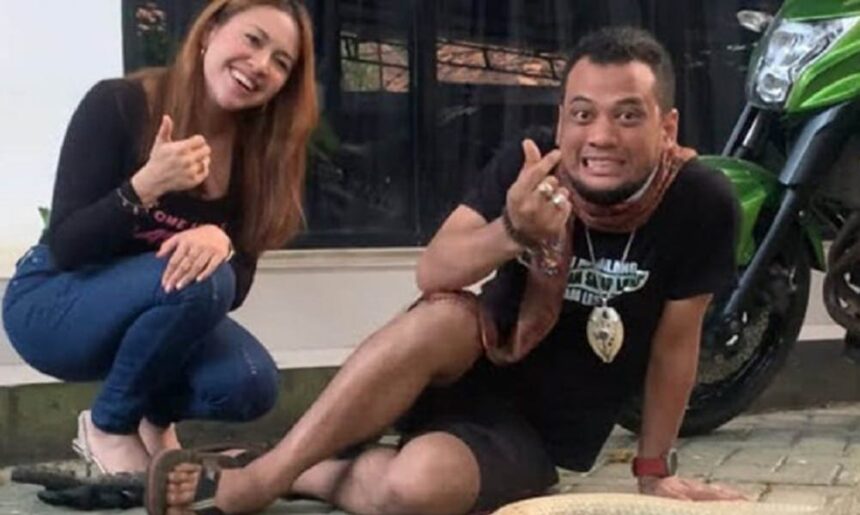 Baby Shima Bareng King Kobra Panji Petualang