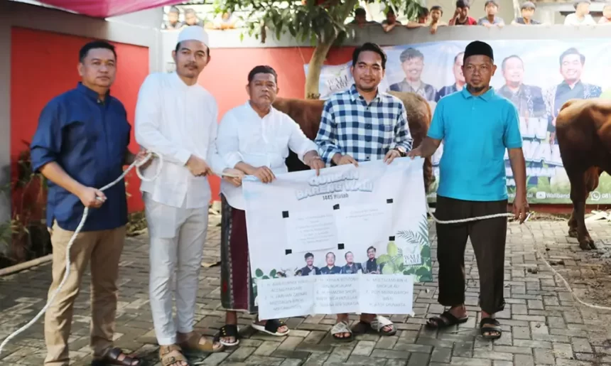Qurban Bareng Wali Band 2 Sapi 11 Kambing