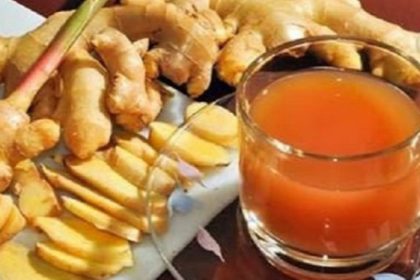 Kencur untuk Obat Masuk Angin: Khasiat dan Cara Penggunaannya